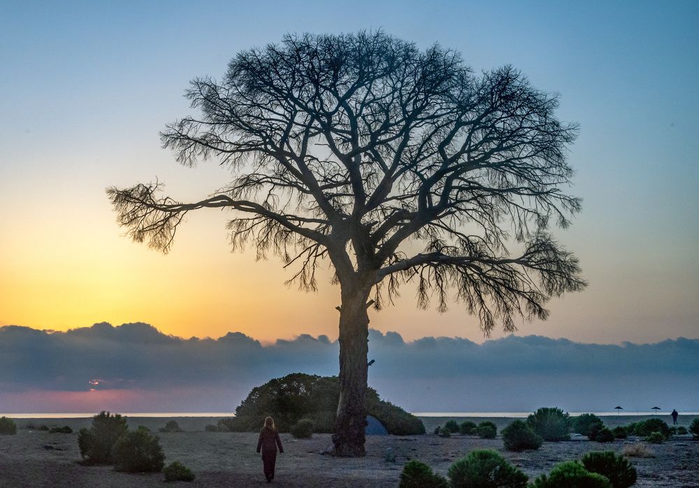 Photograph by Савчук Сергей