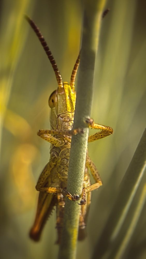 Photograph by Ольга Дорошенко