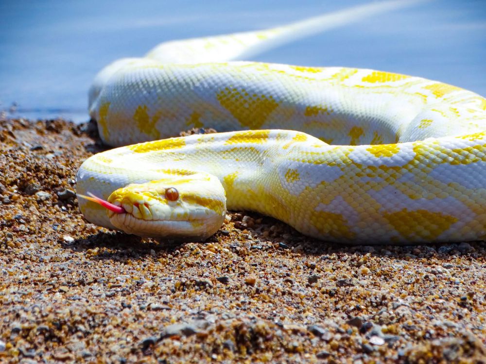 Photograph by Анжелика Трошина