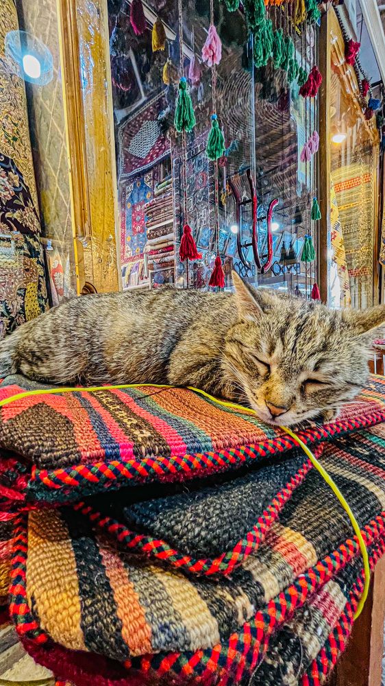 Photograph by Mohammadreza Majlesifar