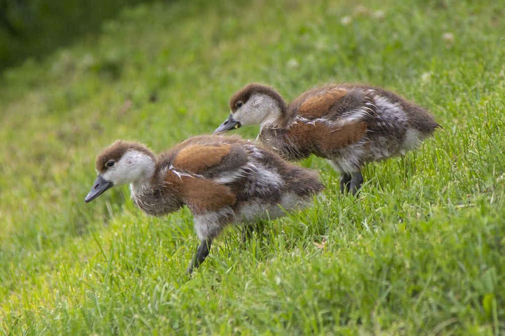 Photograph by Анастасия Северюхина