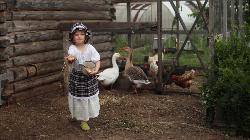 Photograph by надежда максимова