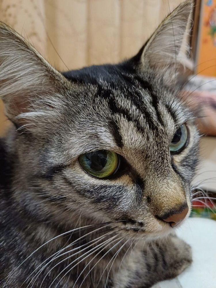 Photograph by Юлия