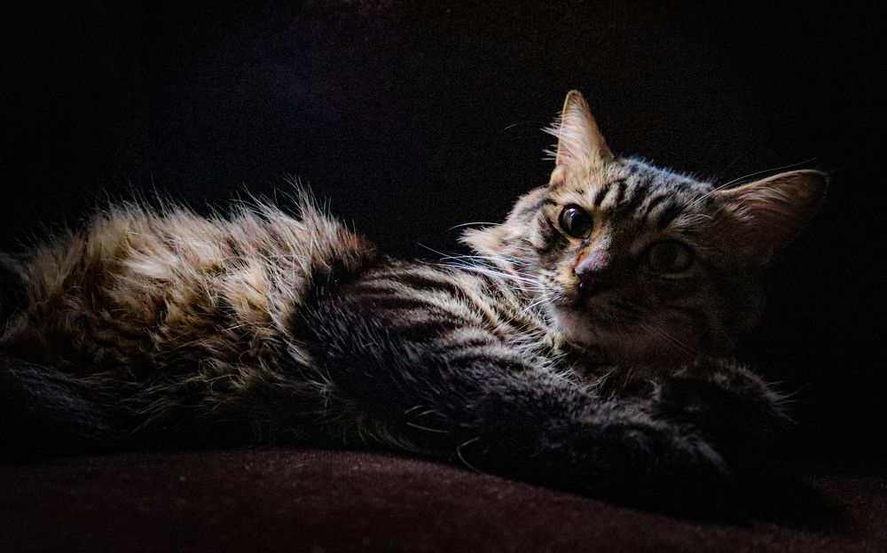 Photograph by ASHRAF FATHY BAKRY