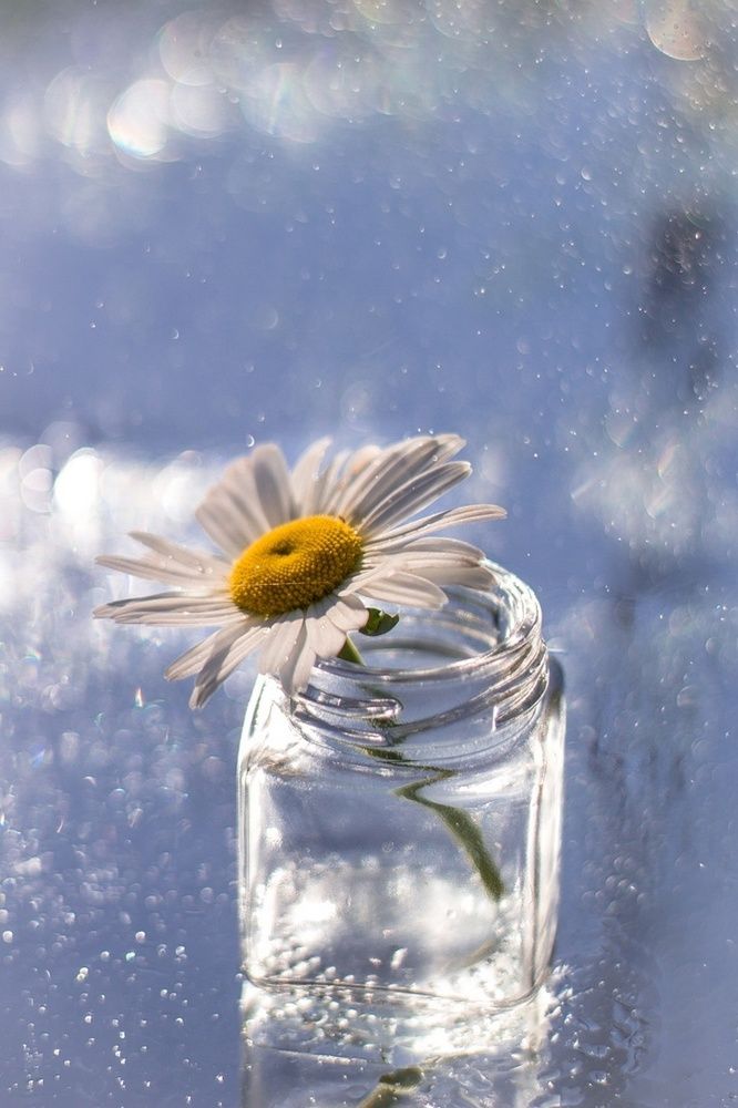 Photograph by Ольга Сергеенко