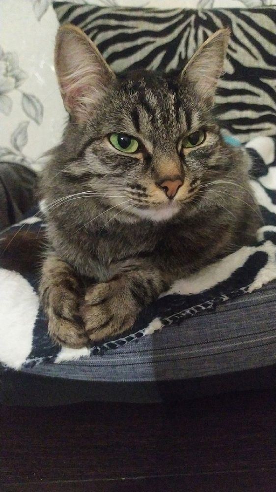 Photograph by Юлия