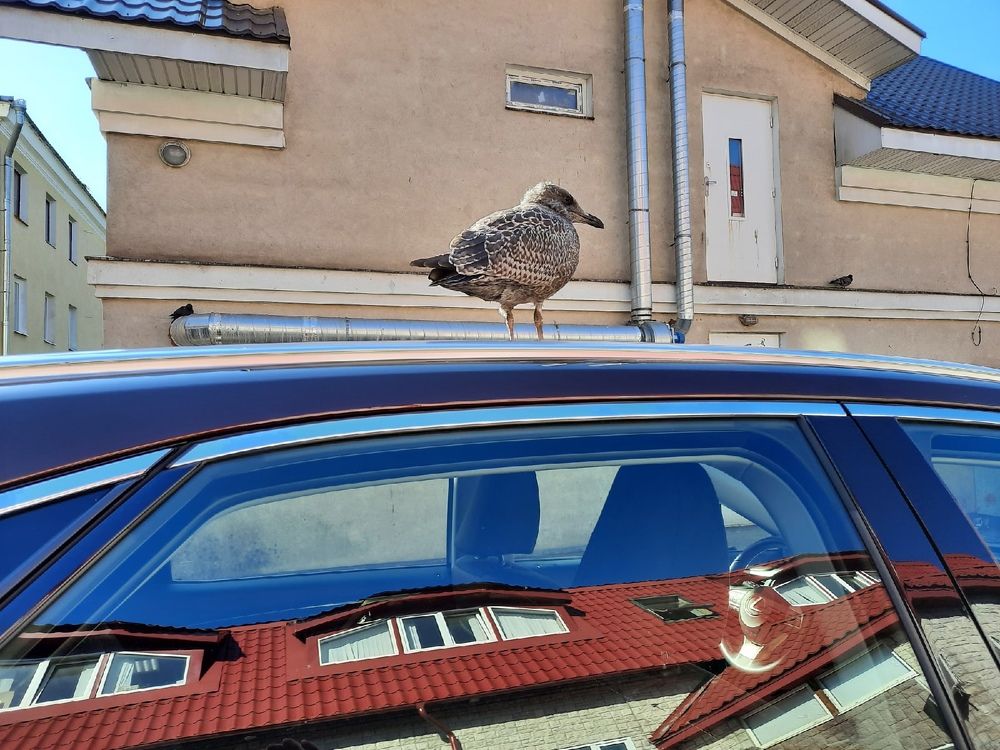 Photograph by Валерия Яскович