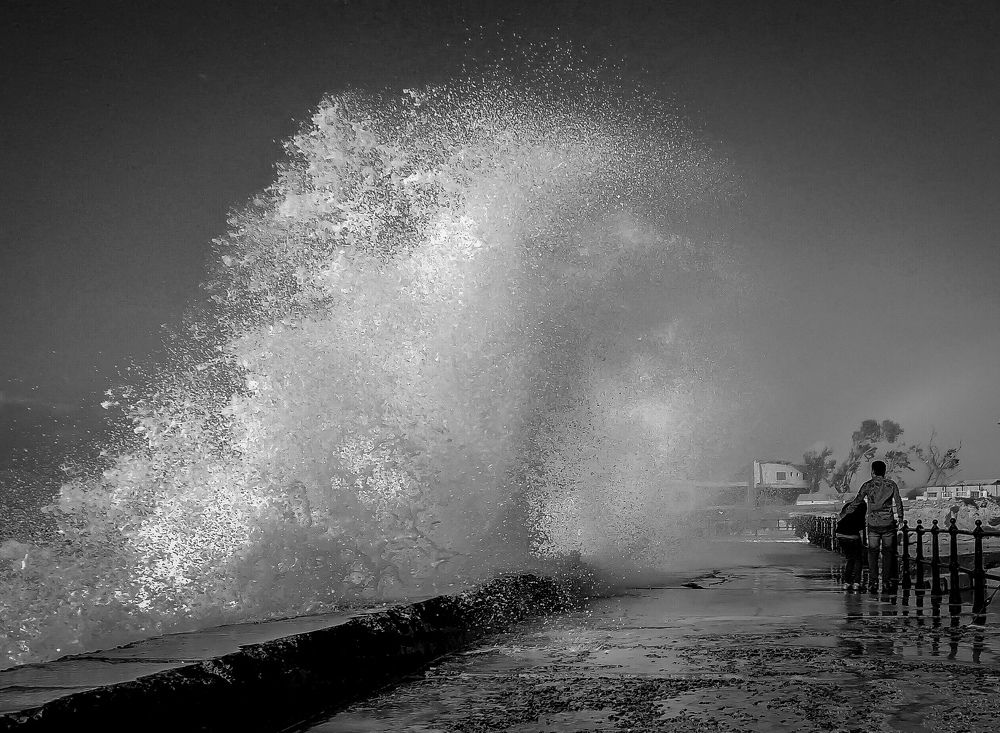 Photograph by ASHRAF FATHY BAKRY