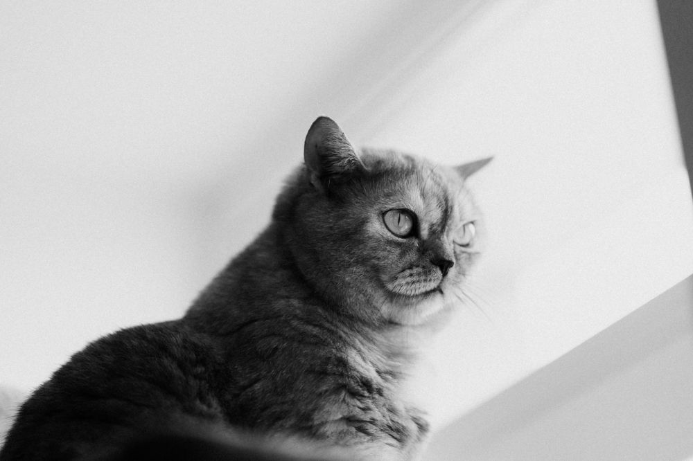 Photograph by Анна Полушина