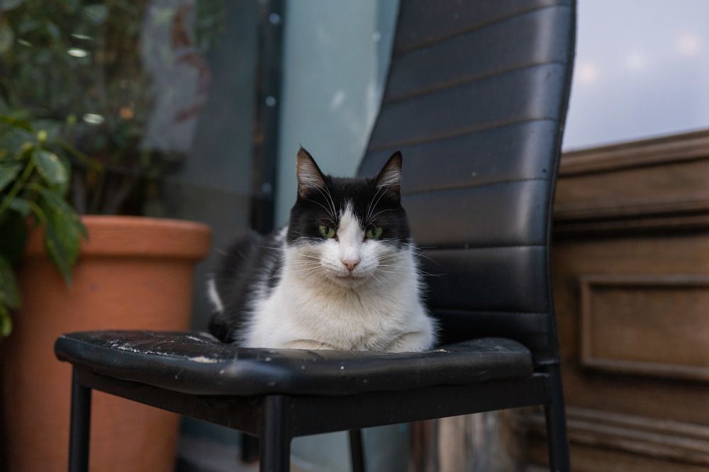 Photograph by Анна Полушина