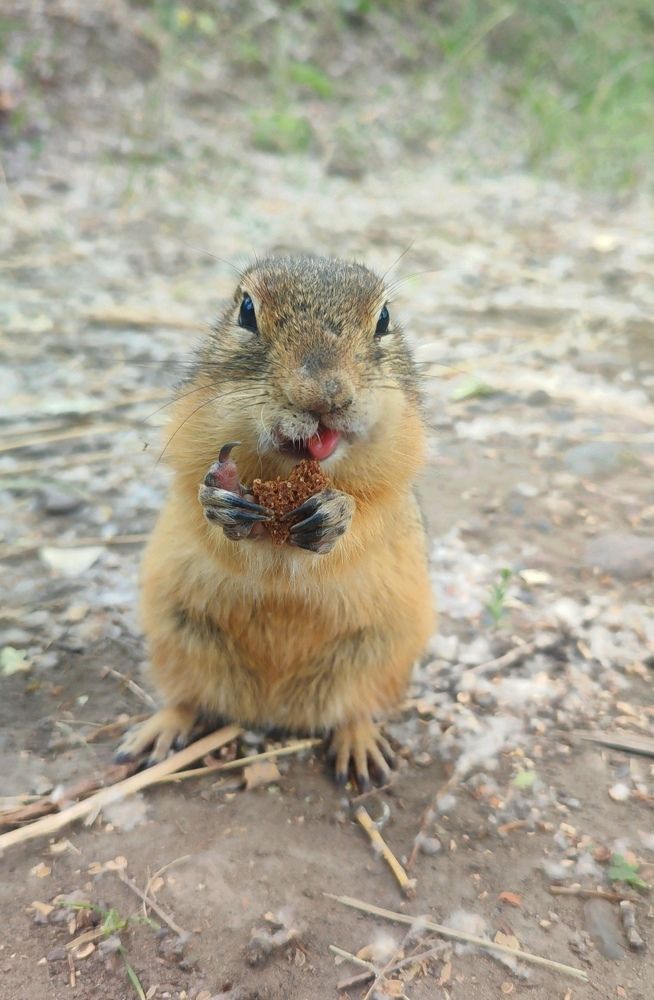 Photograph by Юлия Гинтер