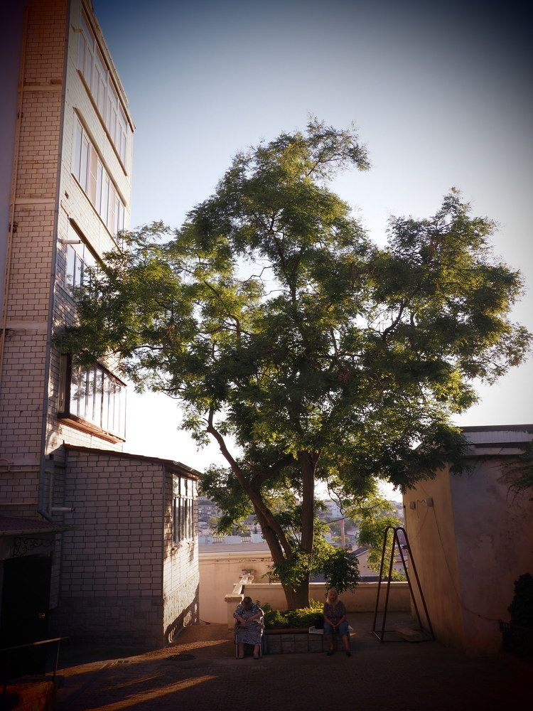 Photograph by Сергей Борисов