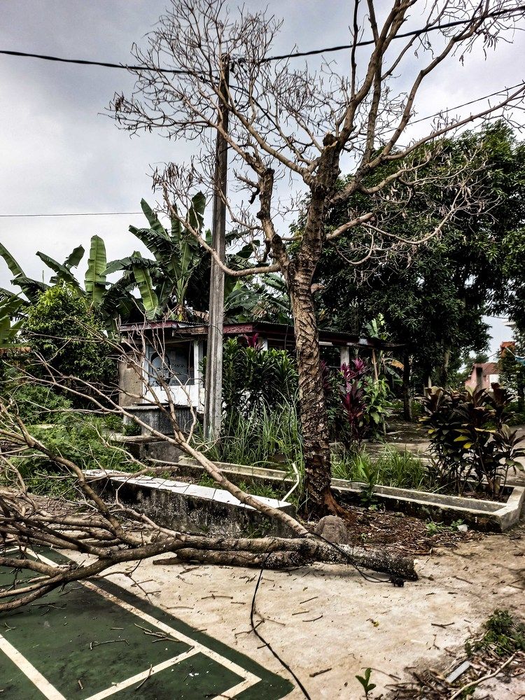 Photograph by Pujo Cahyono