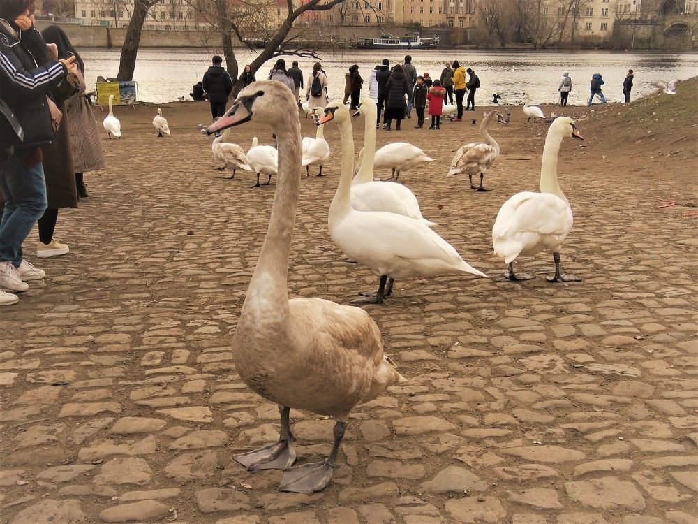 Photograph by Валерия Яскович