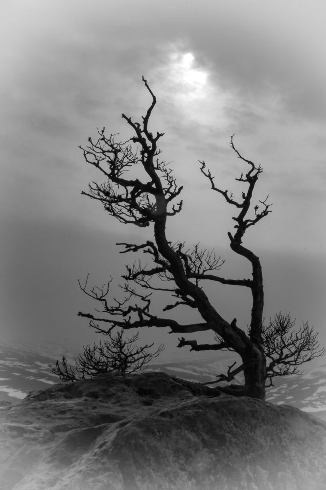 Фотография автора Татьяна