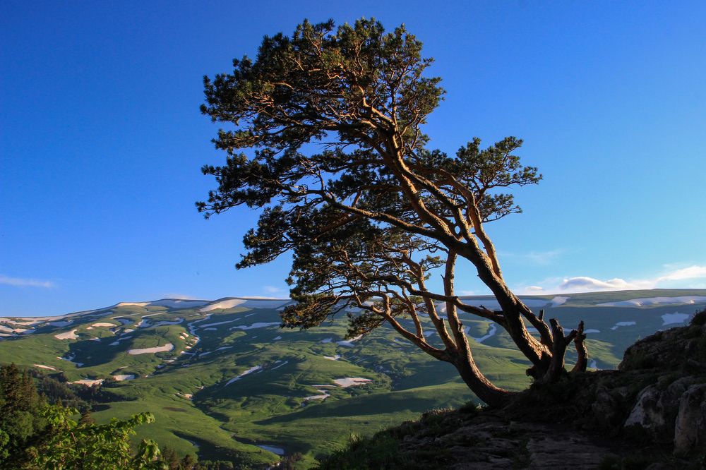 Фотография автора Татьяна