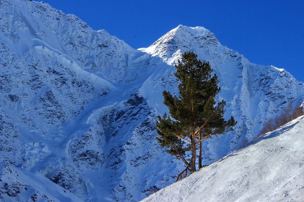 Фотография автора Татьяна