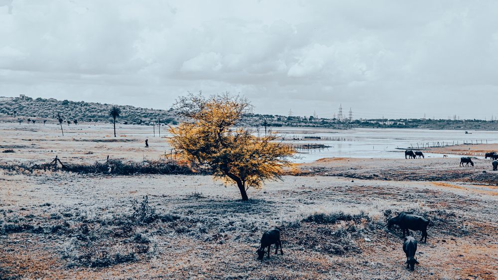 Photograph by Jimmy George