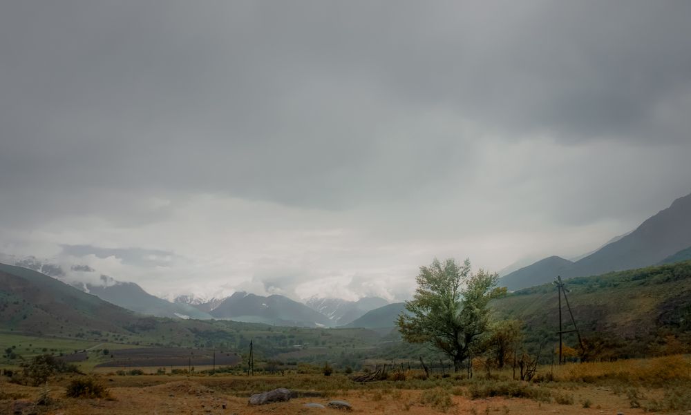 Photograph by Artem Slastnikov