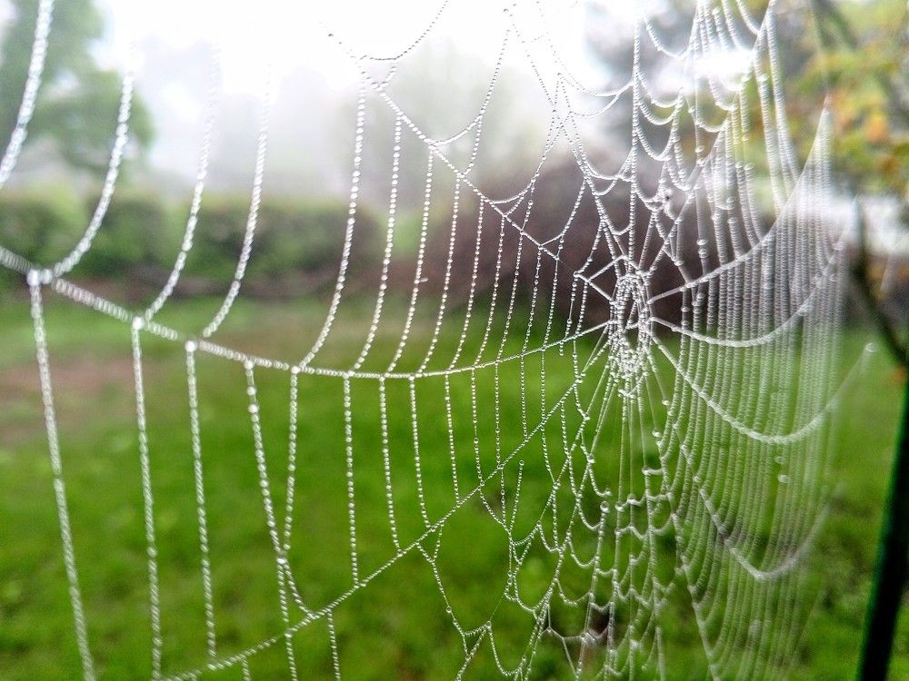 Photograph by Денис Лащ