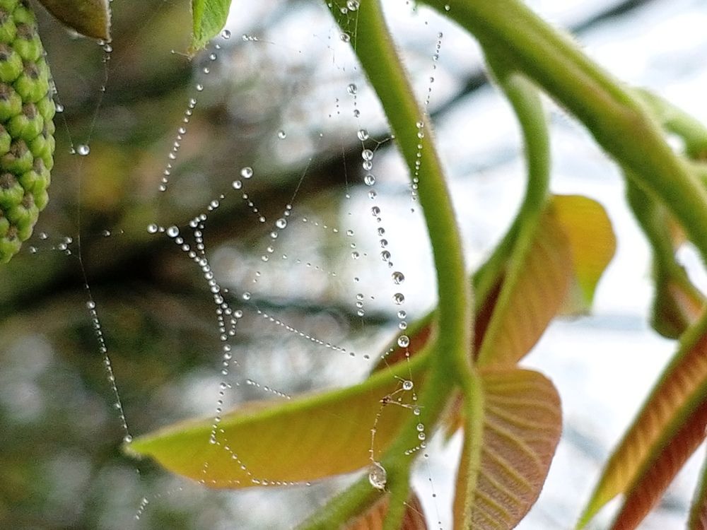 Photograph by Денис Лащ