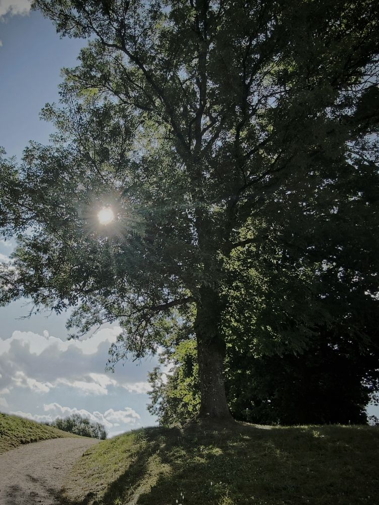 Photograph by Ksenija Bartoško