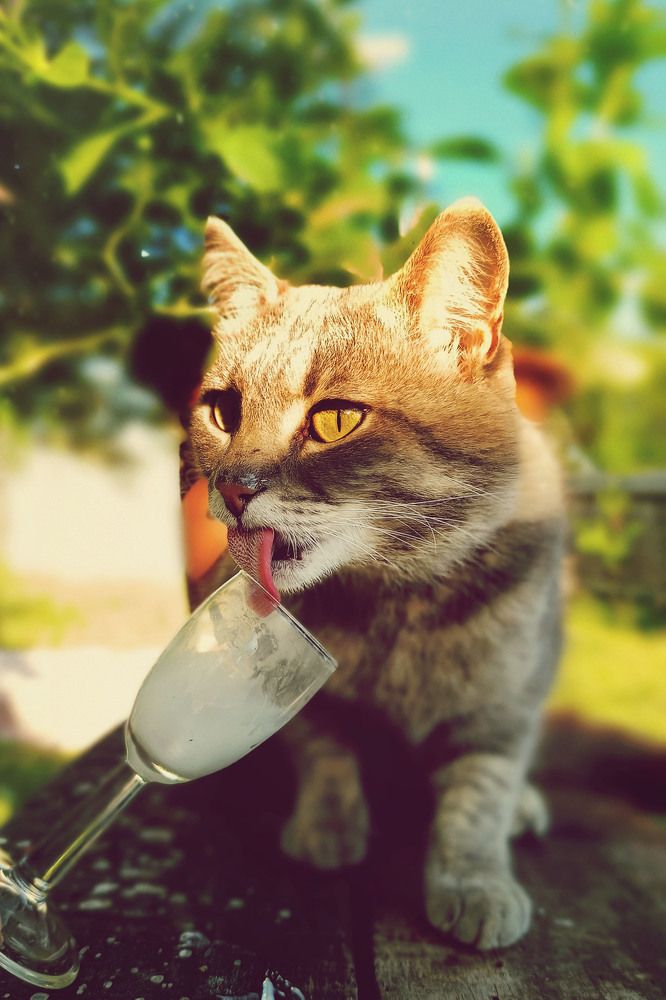 Photograph by Диана Токаревич