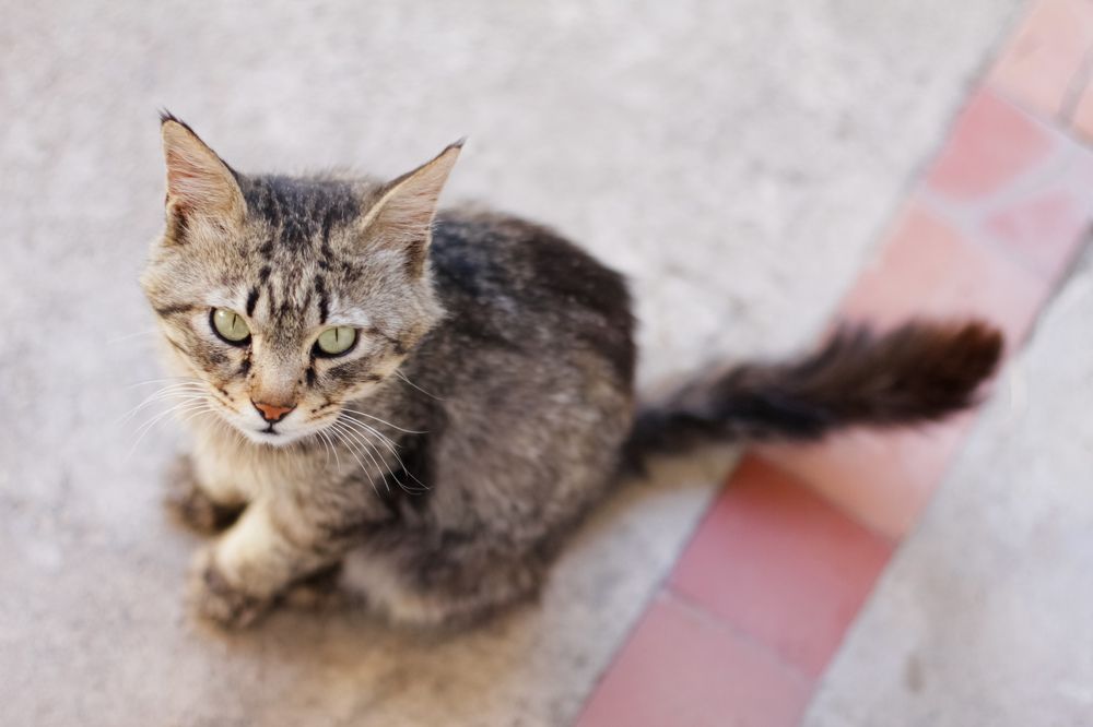 Photograph by Anastasiya Danilova