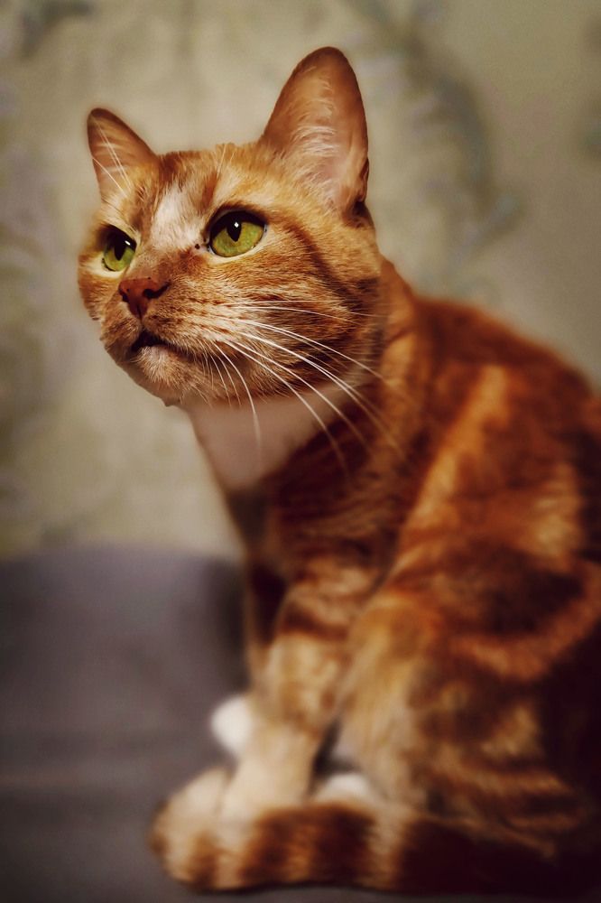 Photograph by Диана Токаревич