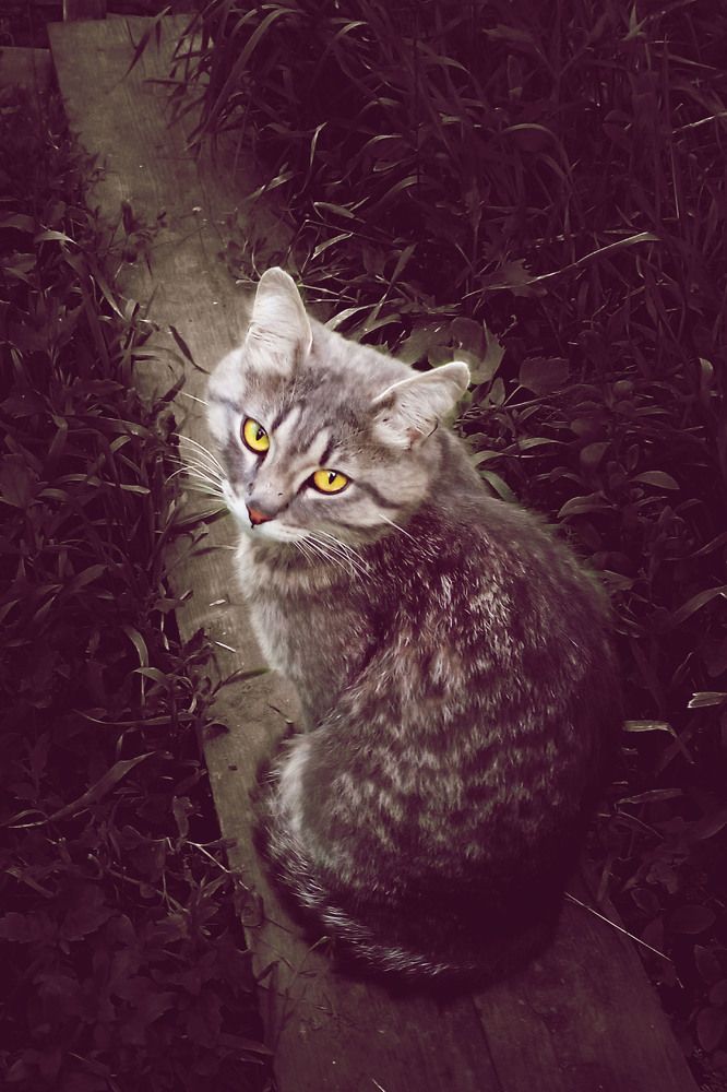 Photograph by Диана Токаревич