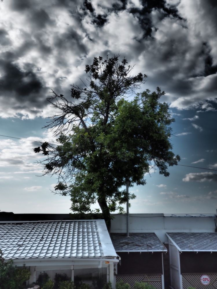 Photograph by Сергей Борисов