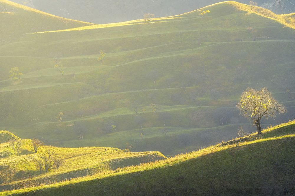 Фотография автора Kozlov Sergey