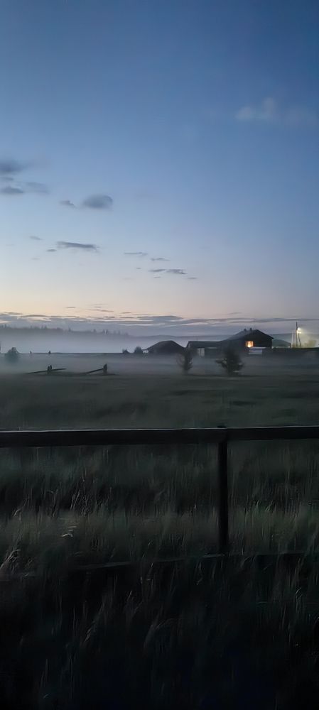 Photo #10783022