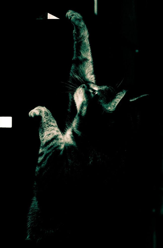 Photograph by Зыкова Мария