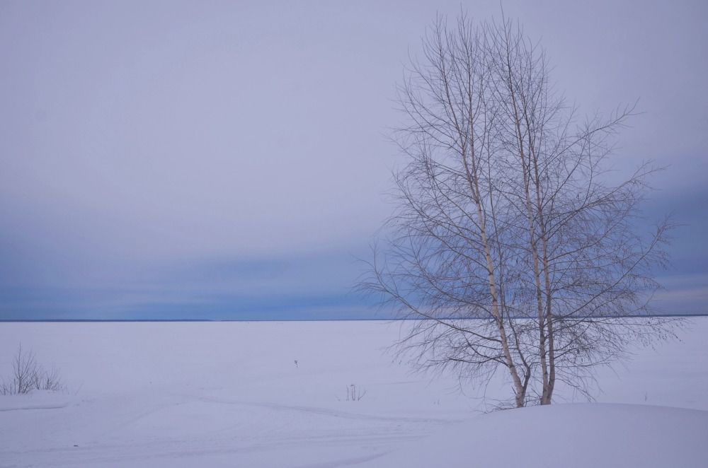 Photograph by Зыкова Мария