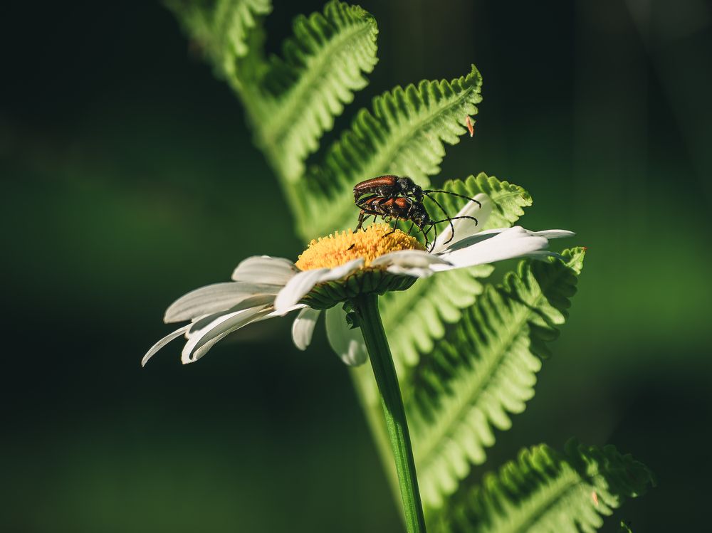 Photograph by Алексей Акулин