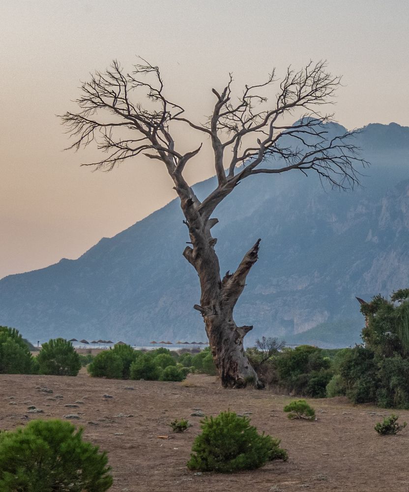 Photograph by Савчук Сергей