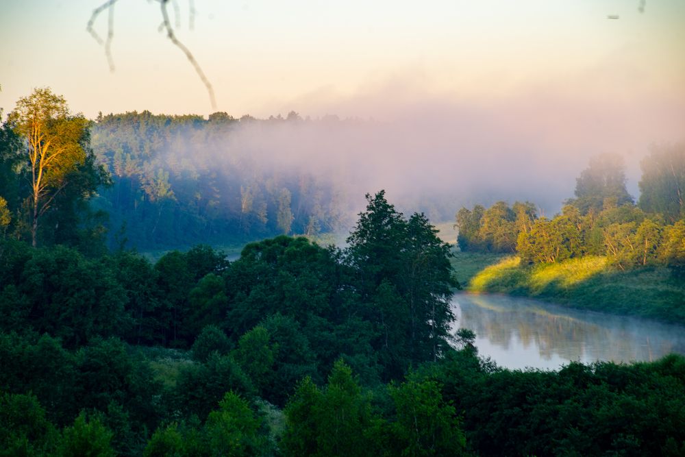 Photograph by Раиса Иванова