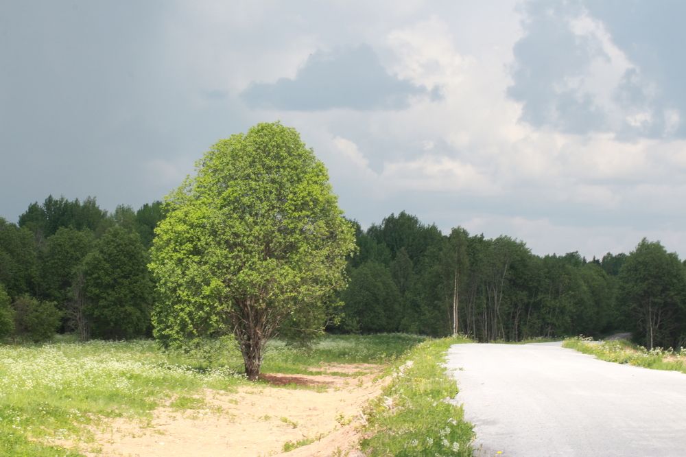 Фотография автора Максим Владимирович