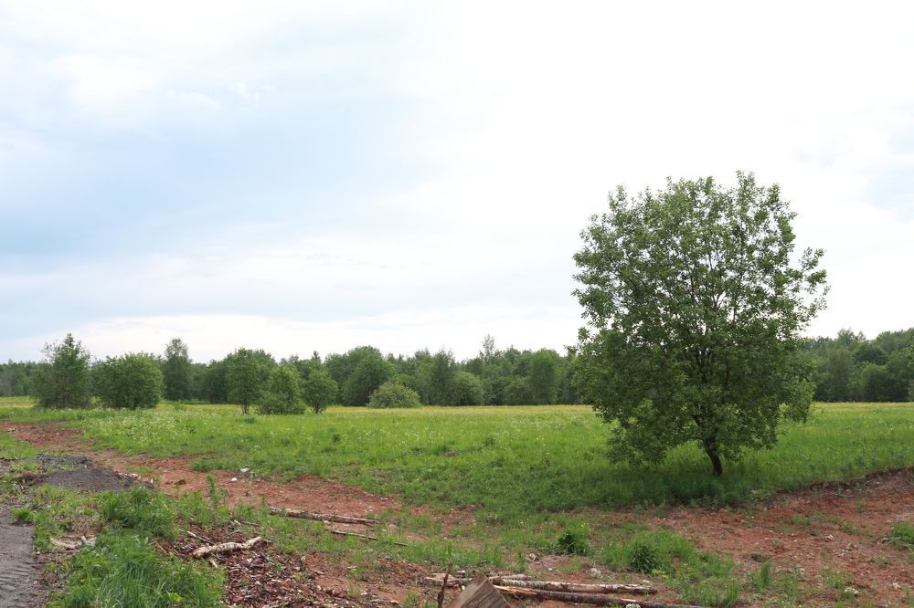 Фотография автора Максим Владимирович