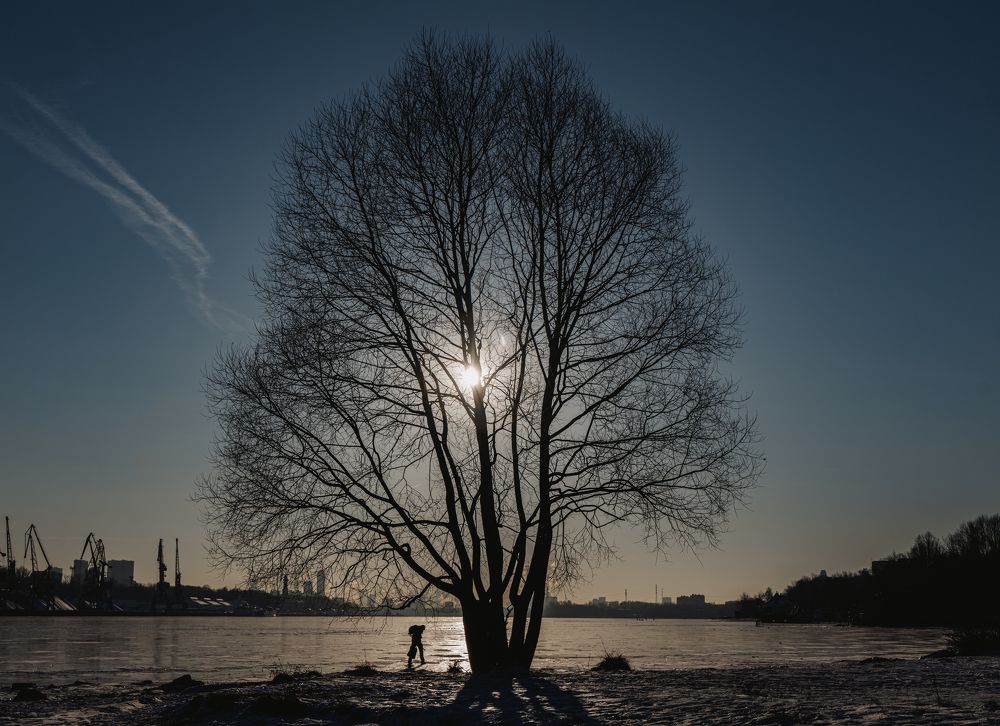 Photograph by  Дмитрий Михайлович