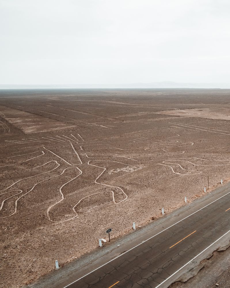 Photograph by Angela