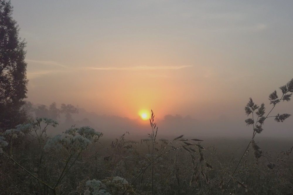 Рассвет. Подмосковье