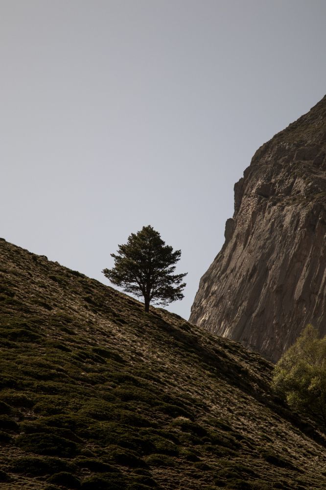 Photograph by Антонина Кузнецова