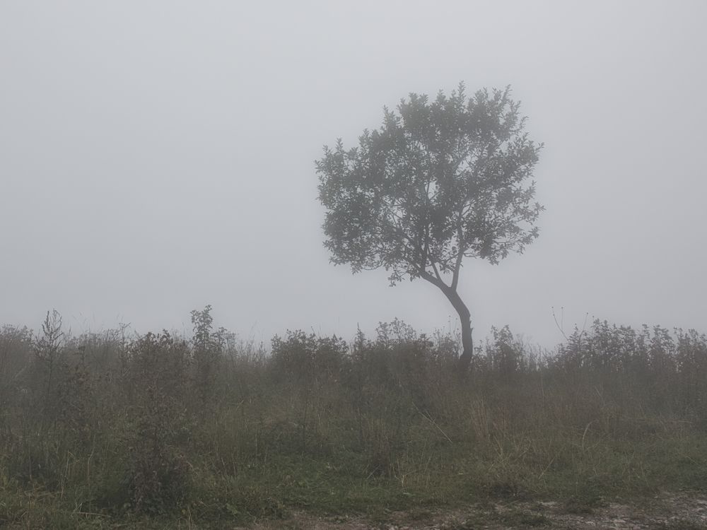 Photograph by Дудников Александр