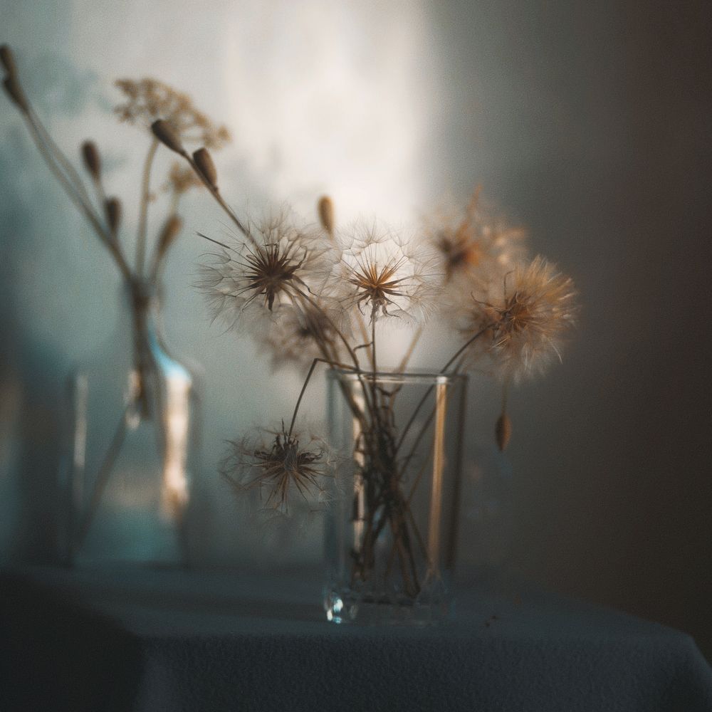 Photograph by Татьяна Максакова