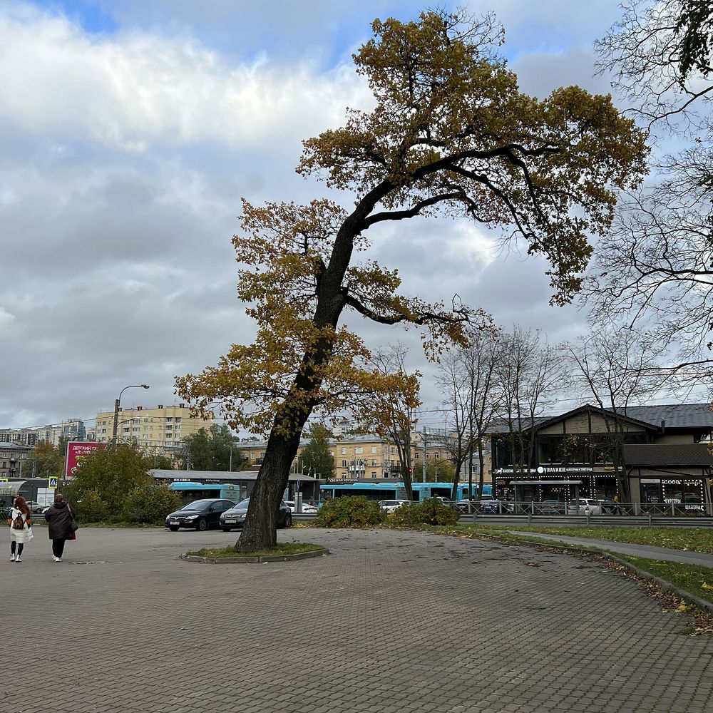 Photograph by Александр К