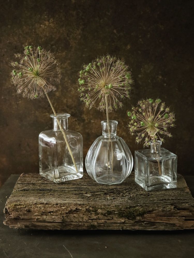 Photograph by Angelica Medvedeva