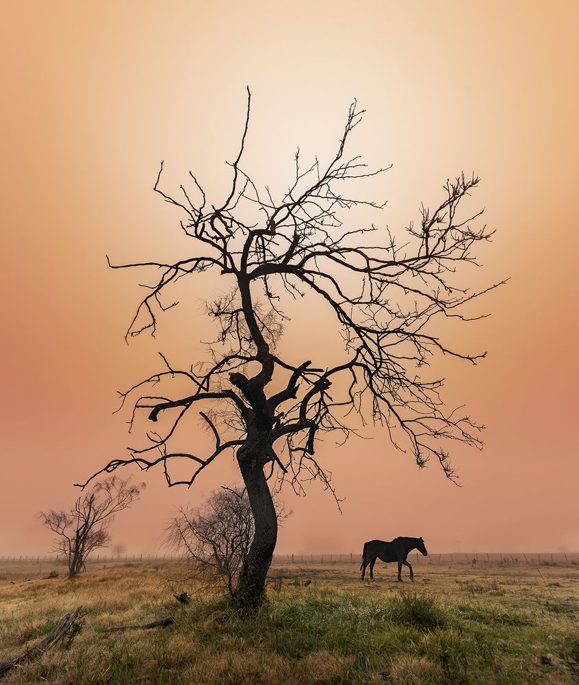 Photograph by Gerardo Dayan