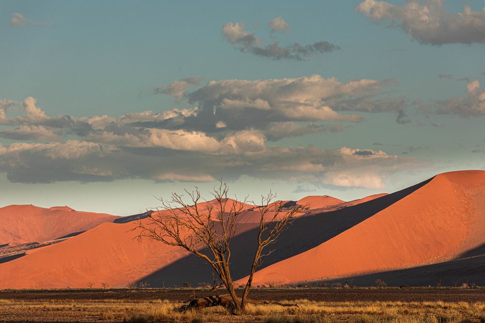 Photograph by Илья Поляк